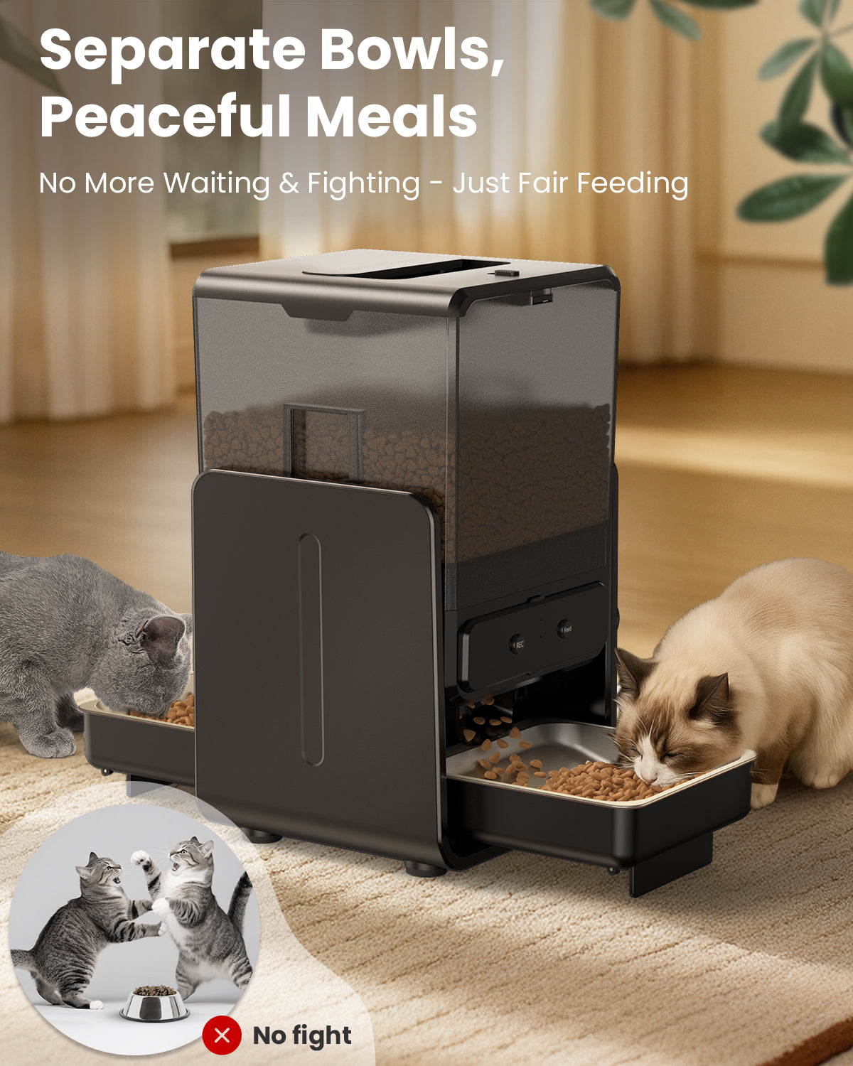 Automatic Cat Feeder with 5G WiFi for 2 Cats