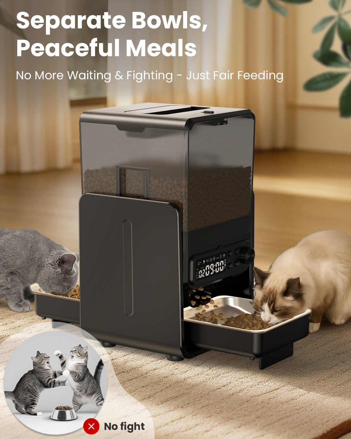 Automatic Cat Feeder