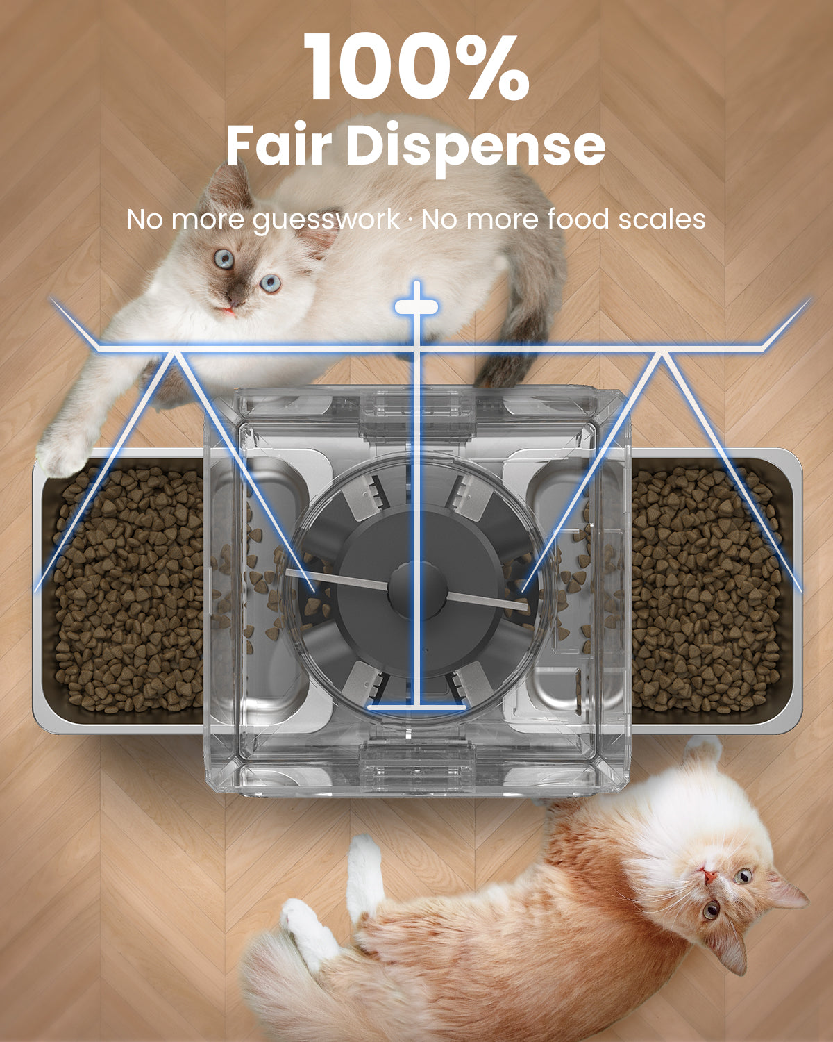 Automatic Cat Feeder