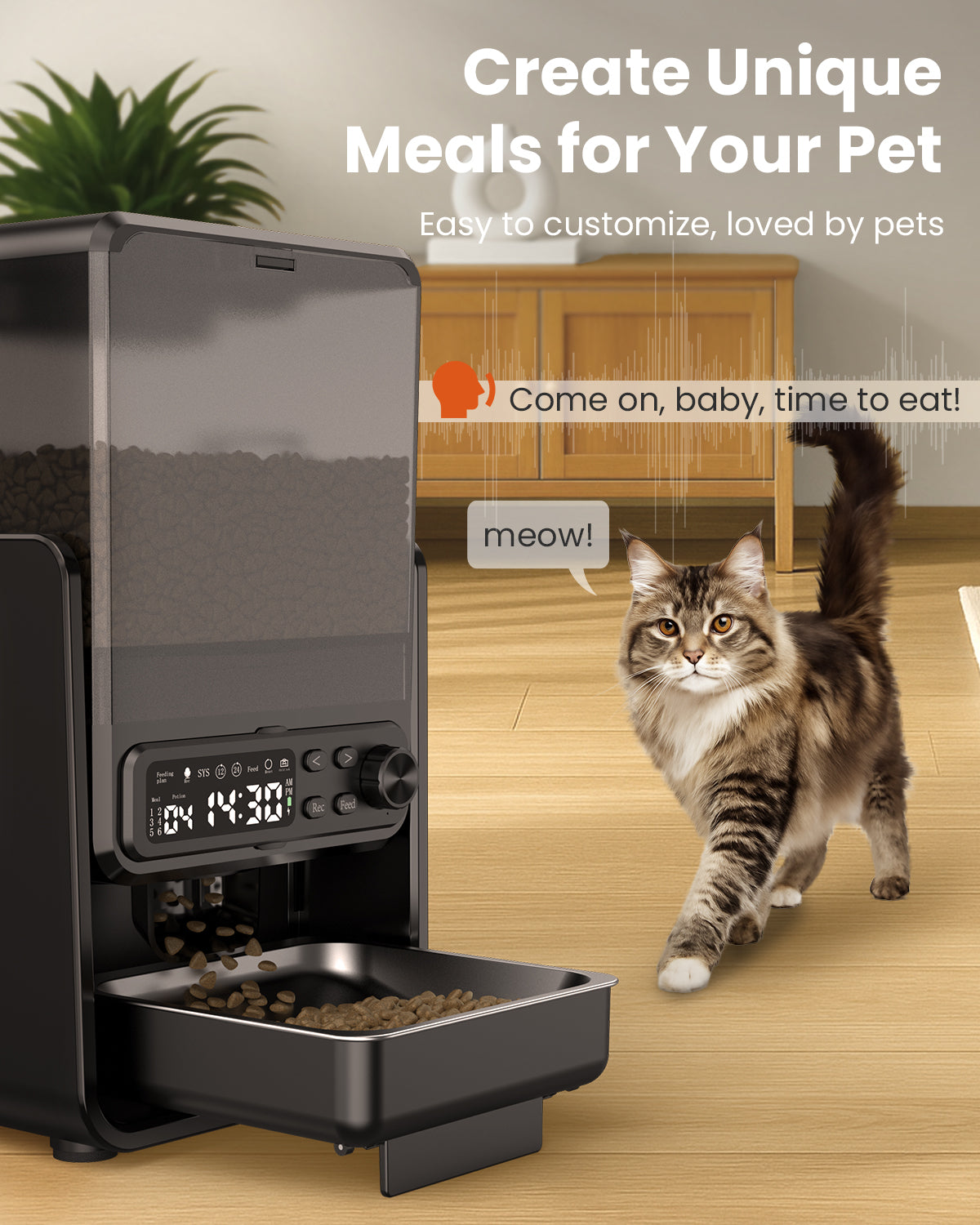 Automatic Cat Feeder