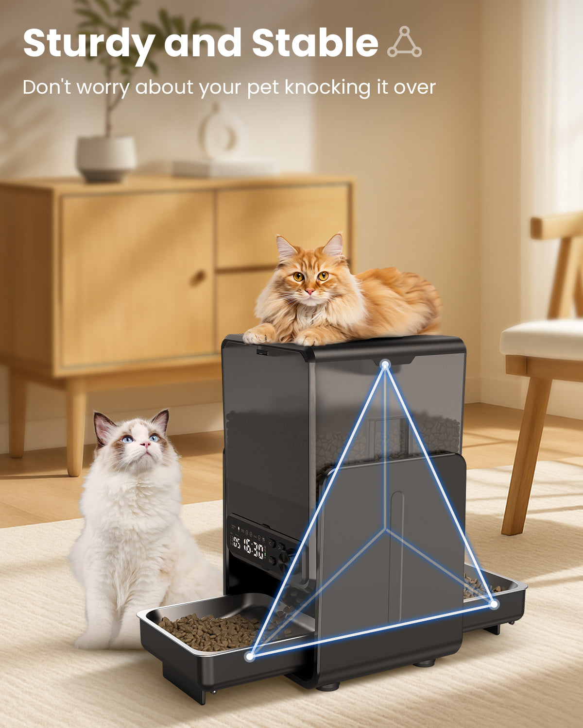 Automatic Cat Feeder