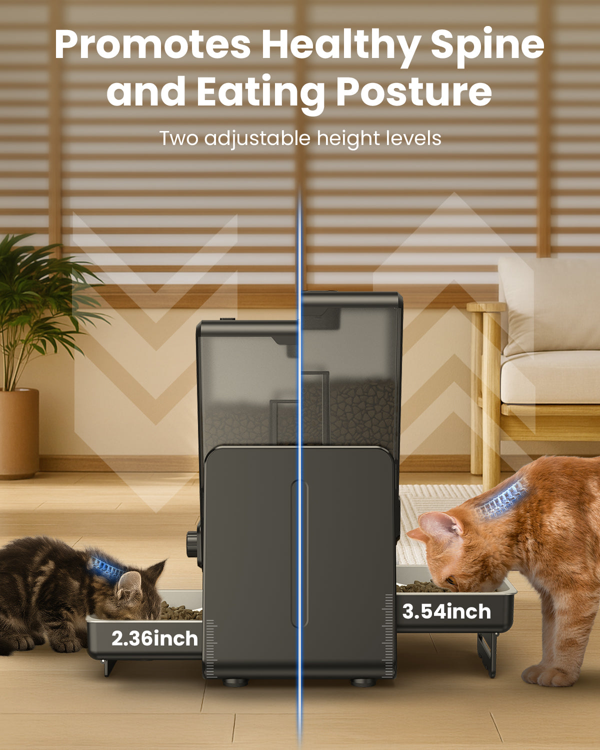 Automatic Cat Feeder