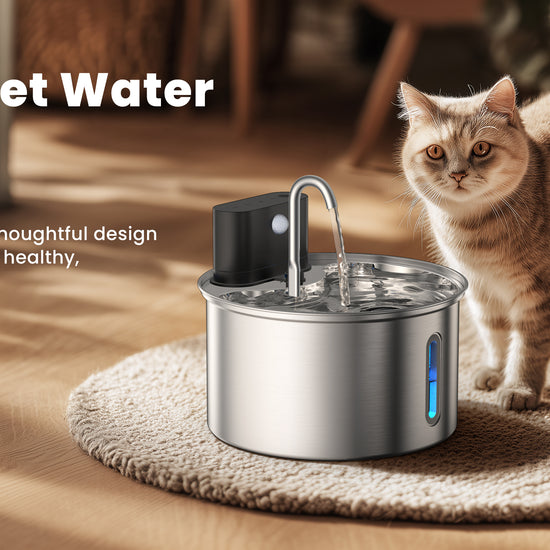 CityFlee  Pet Drinking Fountain Stainless Steel Square Installation Video